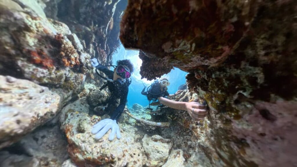 Insta360 X4で撮影した水中写真