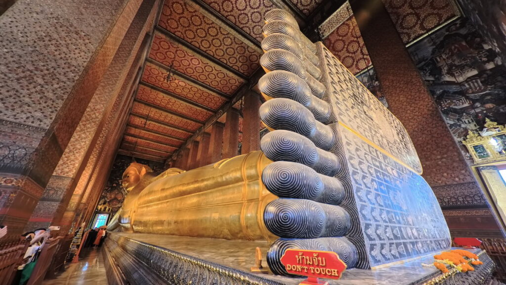 Insta360 Ace Pro 2で撮影した参考写真