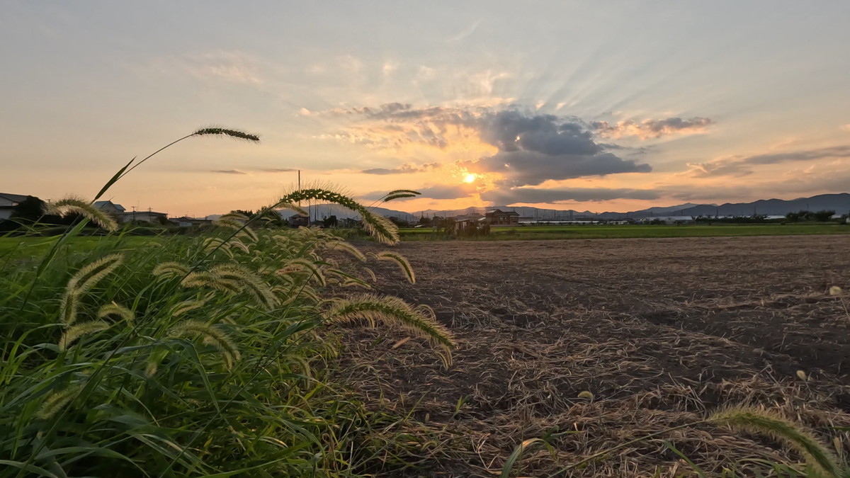 GoPro HERO13で撮影した夕方２