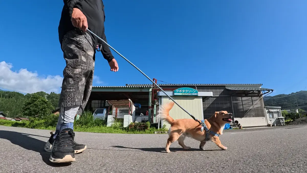 Insta360 GO Ultraで撮影した犬