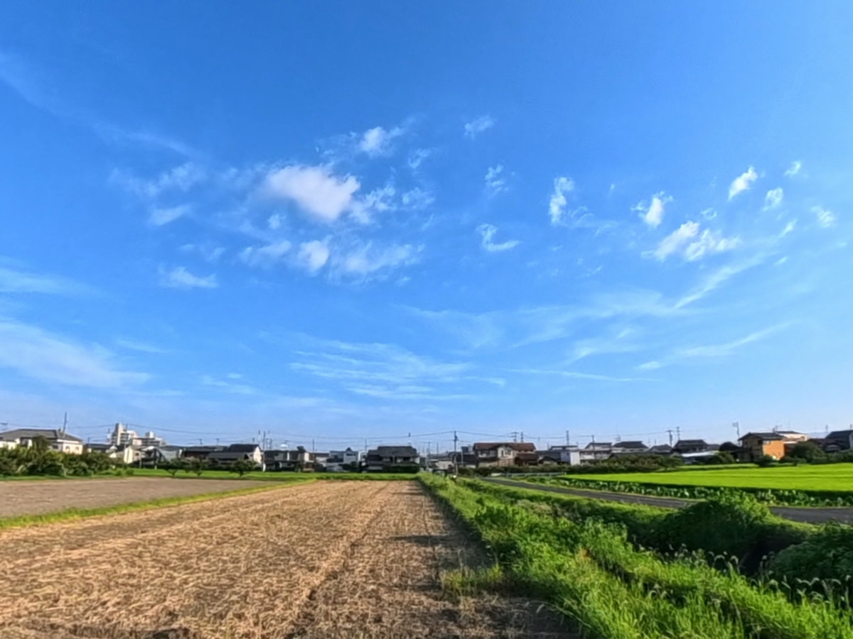 Before image