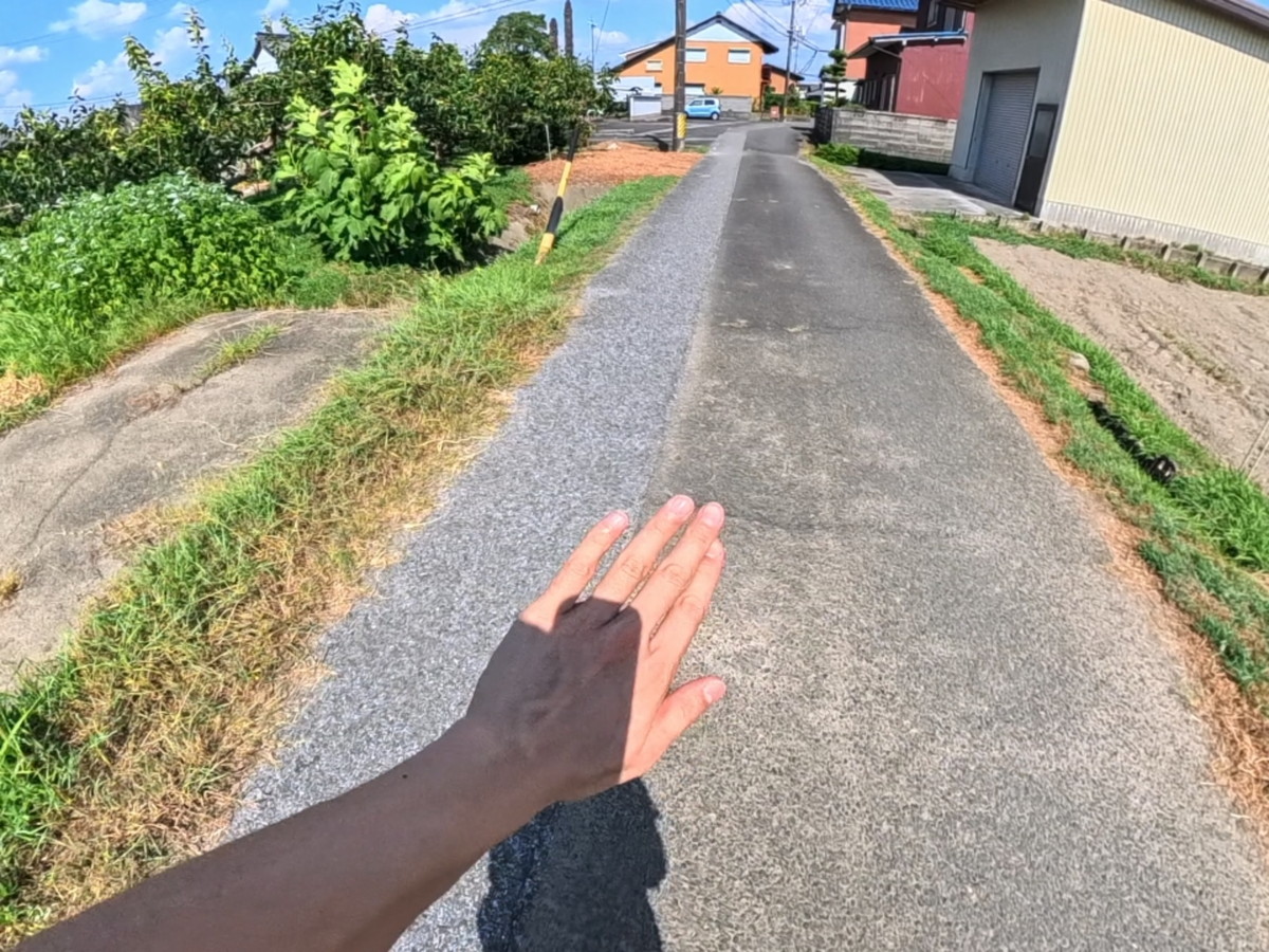 Before image