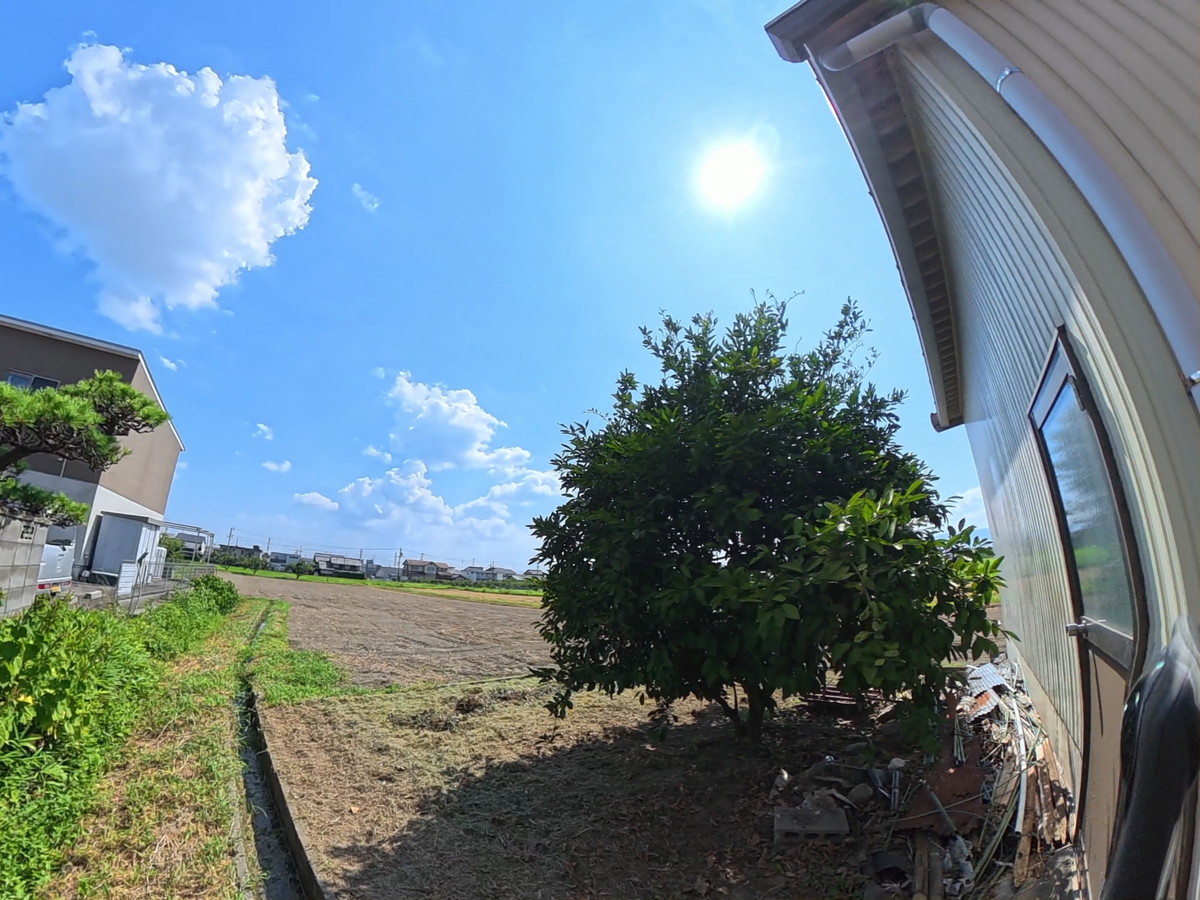 Before image