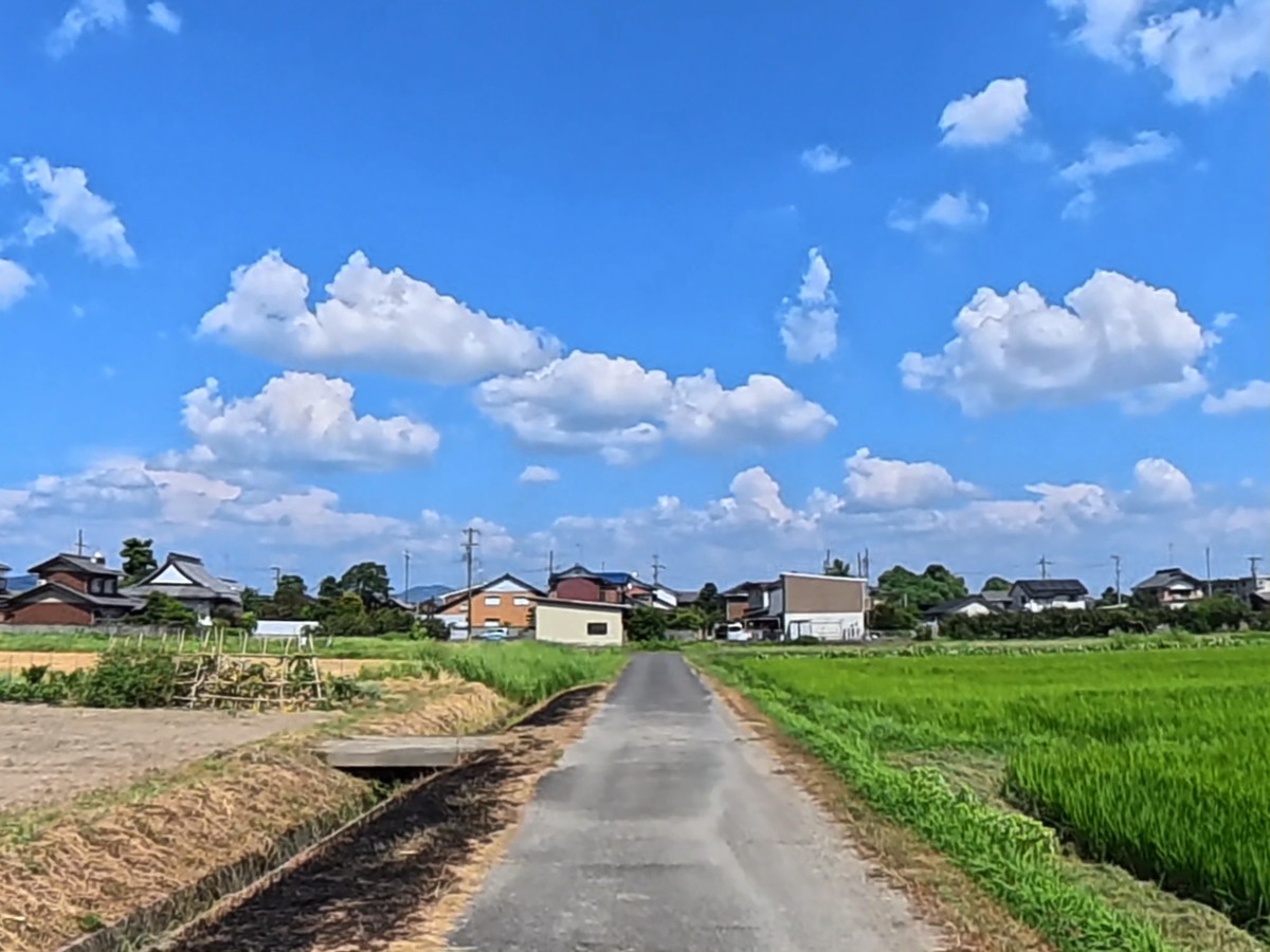 Before image