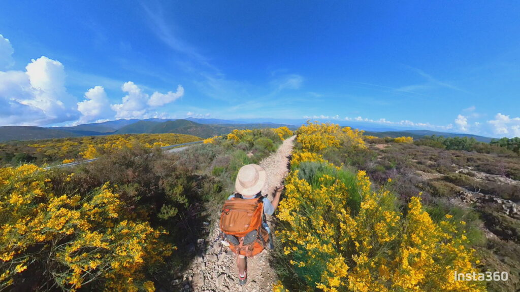 ONE RSで撮影した画像