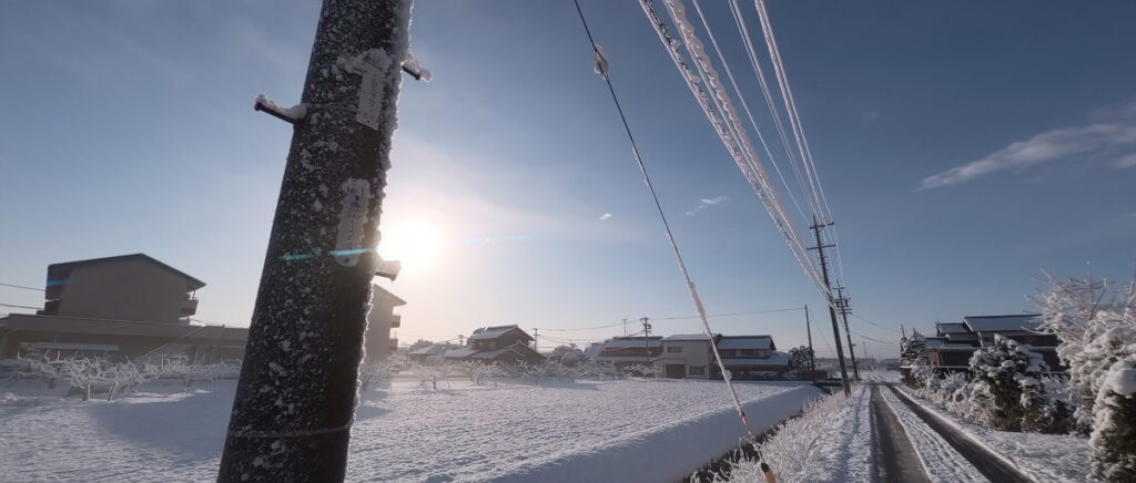 シネマティックレンズで撮影したフレアの出方