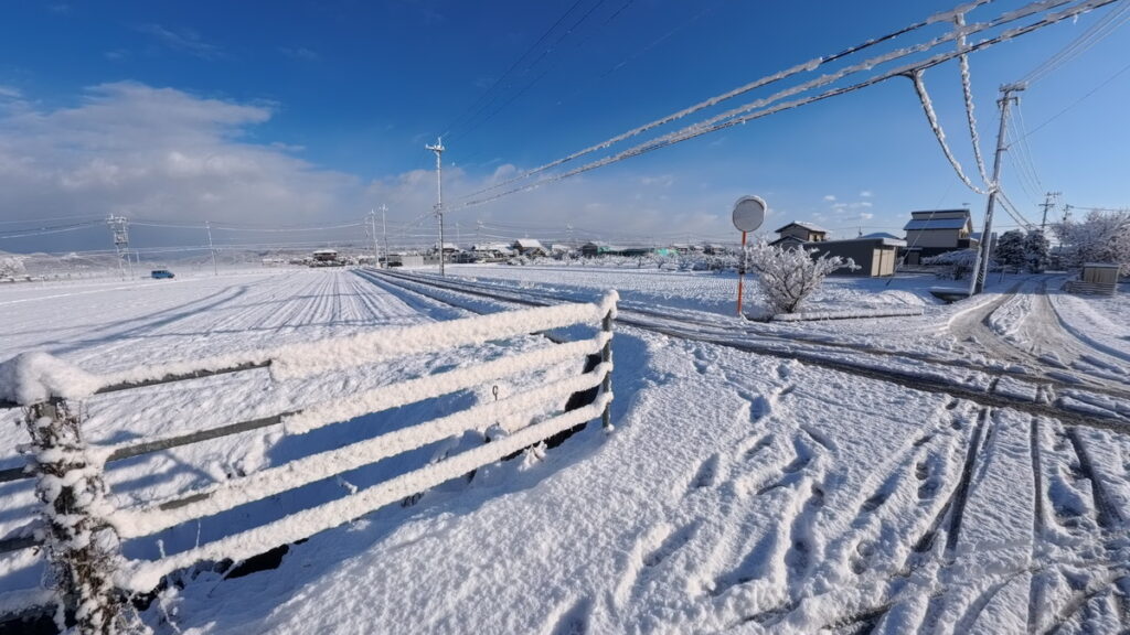 Ace Pro 2の標準レンズで撮影した写真