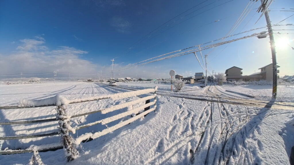 Ace Pro 2の超広角レンズで撮影した写真