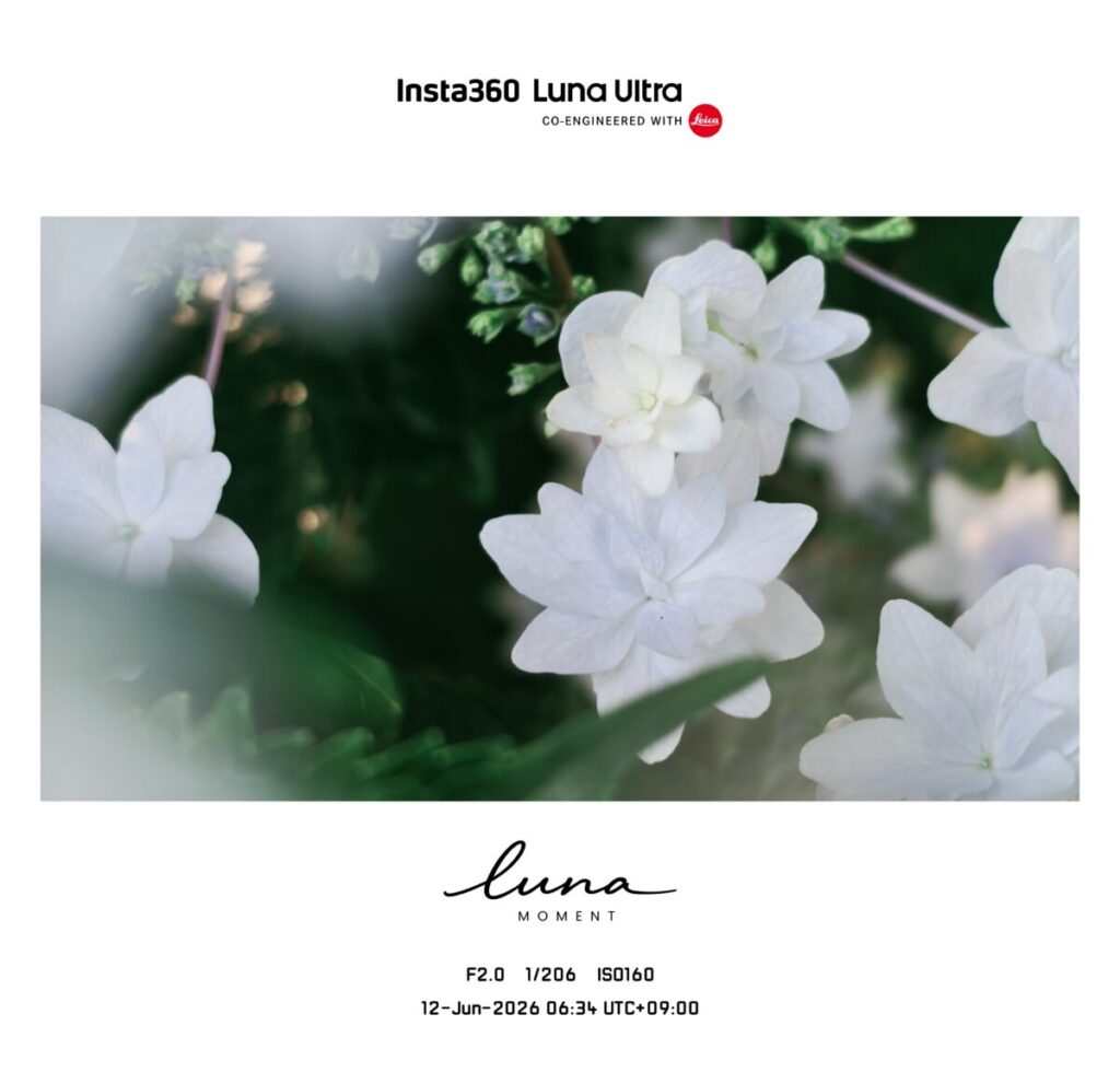 Luna-Ultraで撮影したフレーム入りの写真(花9