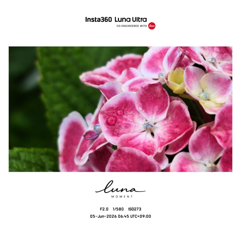 Luna-Ultraで撮影したフレーム入りの写真（アジサイ）