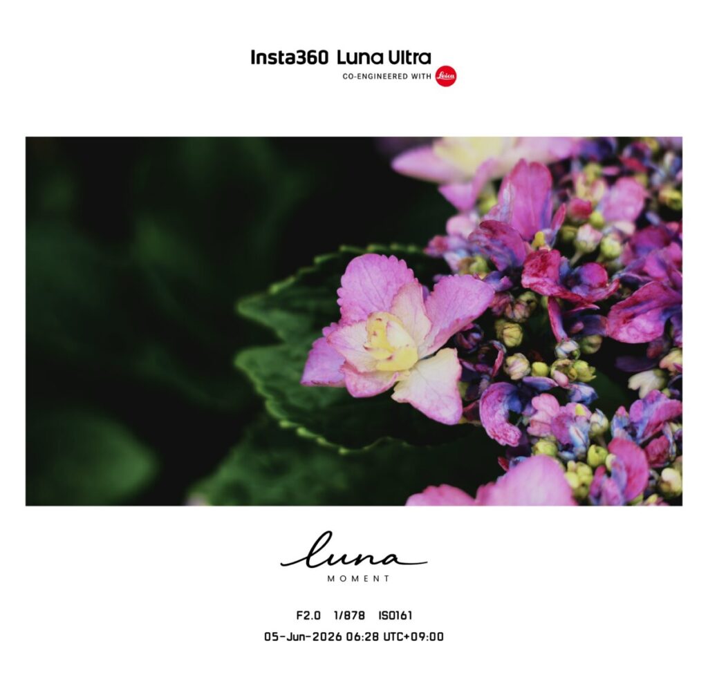 Luna-Ultraで撮影したフレーム入りの写真（アジサイ）